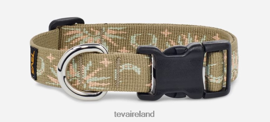 Teva 4886PX216 Unisex Dog Collar 19Mm Sun And Moon Aloe