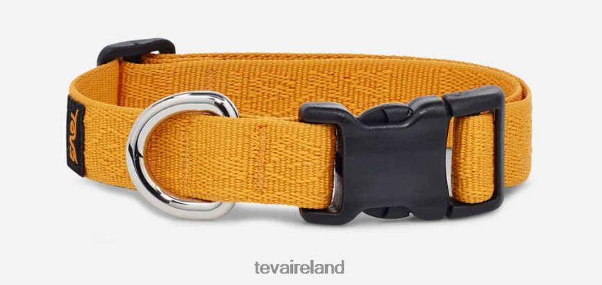 Teva 4886PX217 Unisex Dog Collar 19Mm Teva Textural Sunflower