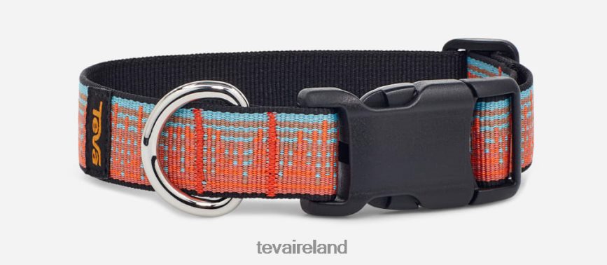 Teva 4886PX221 Unisex Dog Collar 25mm Atmosphere Carrot/Blue Mirage