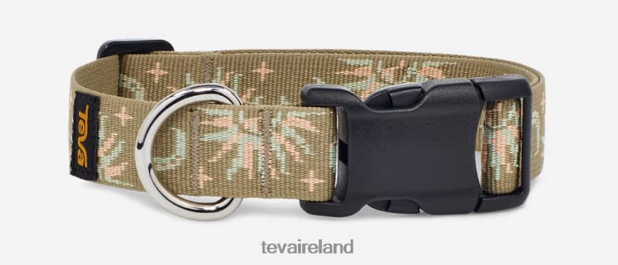 Teva 4886PX222 Unisex Dog Collar 25mm Sun And Moon Aloe