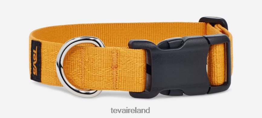 Teva 4886PX223 Unisex Dog Collar 25mm Teva Textural Sunflower